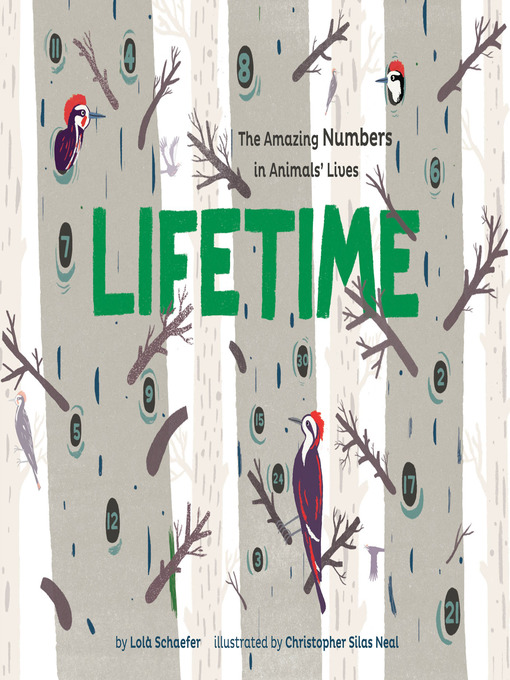 Title details for Lifetime by Lola M. Schaefer - Available